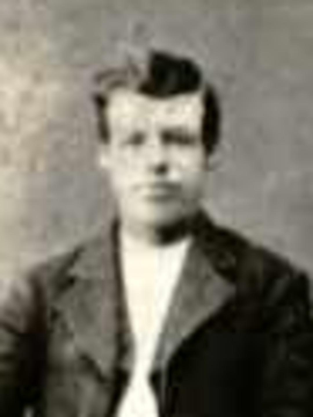 Erastus Willard Anderson (1859 - 1929) Profile